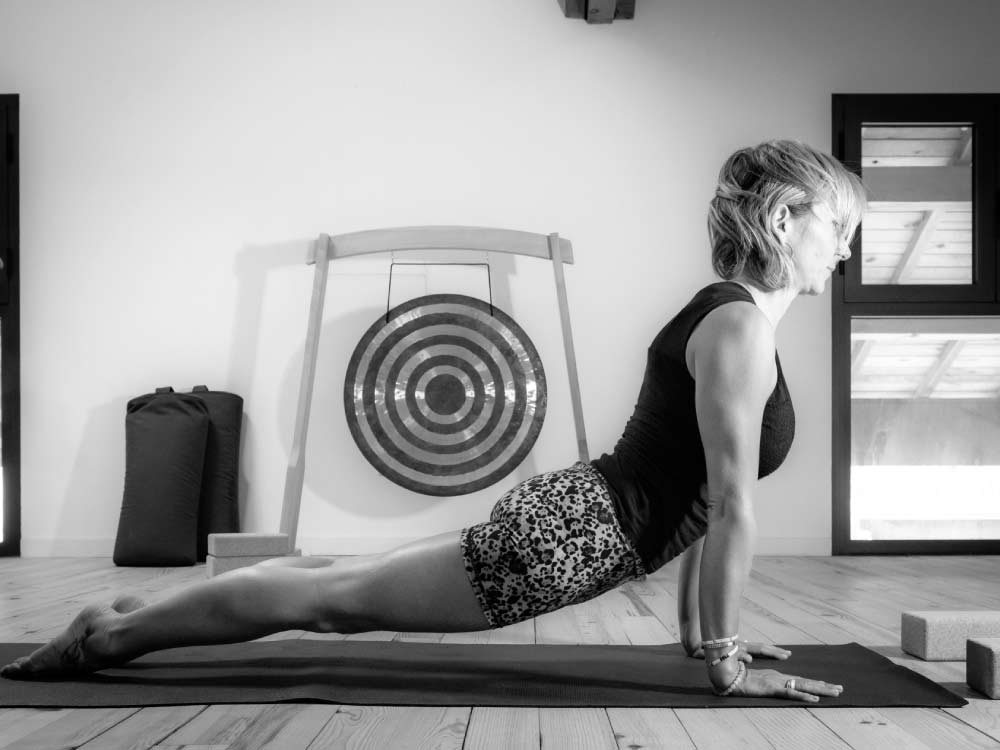Balasana_Yoga_Postural-Carousel-Vinyasa-4